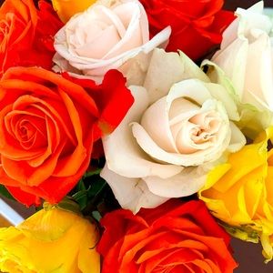 Meet your Posher, Kara